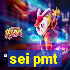 sei pmt